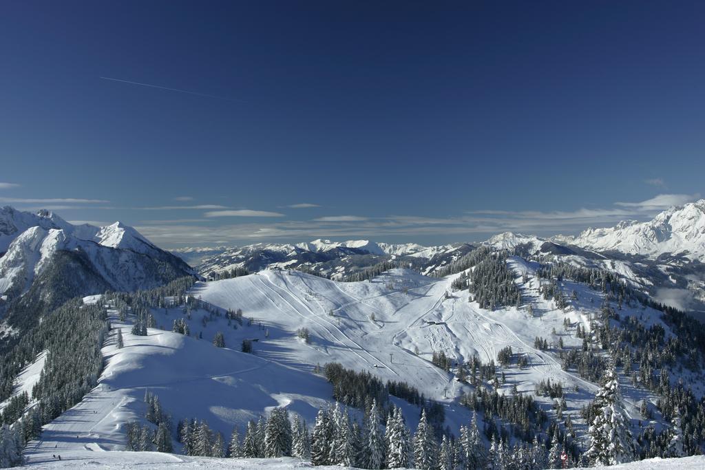 Appartement Hochkoenigblick